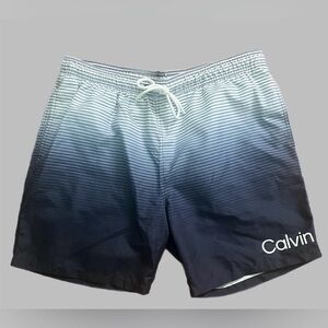 Calvin Klein Gradient Swim Trunks